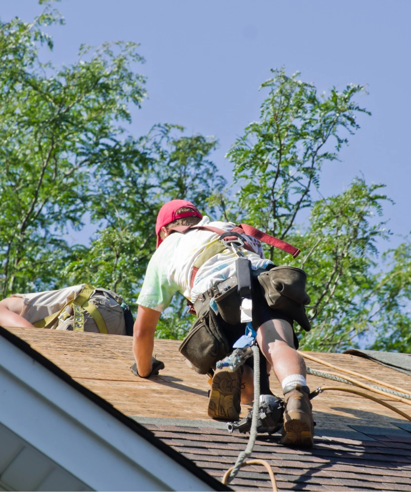 RoofMaintanceServices Indianapolis,IN