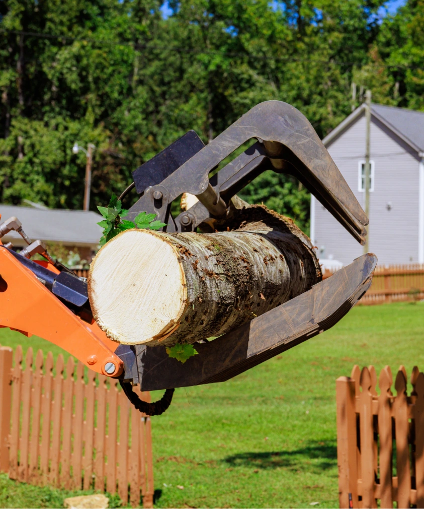 TreeRemovalServices Indianapolis,IN